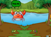 帮助孤独的螃蟹妈妈