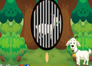 帮助山羊的朋友