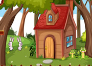 Lost Chameleon Escape