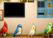 Discover Bird Lover Theo