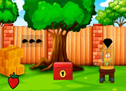 Escape the Lutino Lovebird from the Cage