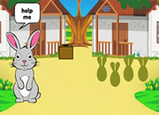 带兔子去胡萝卜农场