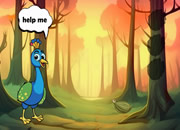 Lost Feather in Mystery Zone