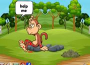 照顾受伤的猴子