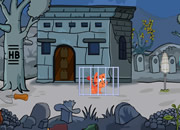 Cat Rescue from Cage