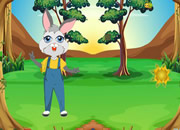 Bunny Wants Egg Basket