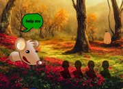 Help Rat Reach Native Place