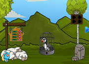 Rescue the Atlantic Puffin