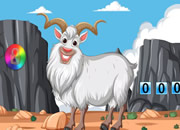 Mountain Goat Rescue