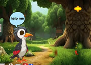 Help the Mom Woodpecker