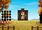 Squirrel Prison Escape