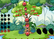 Rambutan Rescue