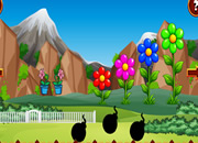 Grape Cage Rescue
