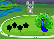 Help to Visit Peacock Pal