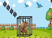 Trapped Squirrel Escape