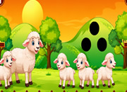 Black Sheep Rescue